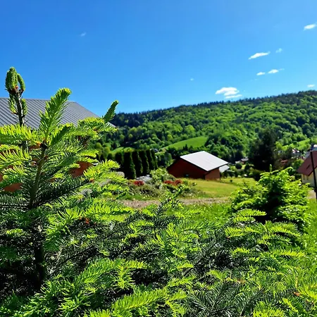 Domek Malinowy Wolkowyja Exterior foto