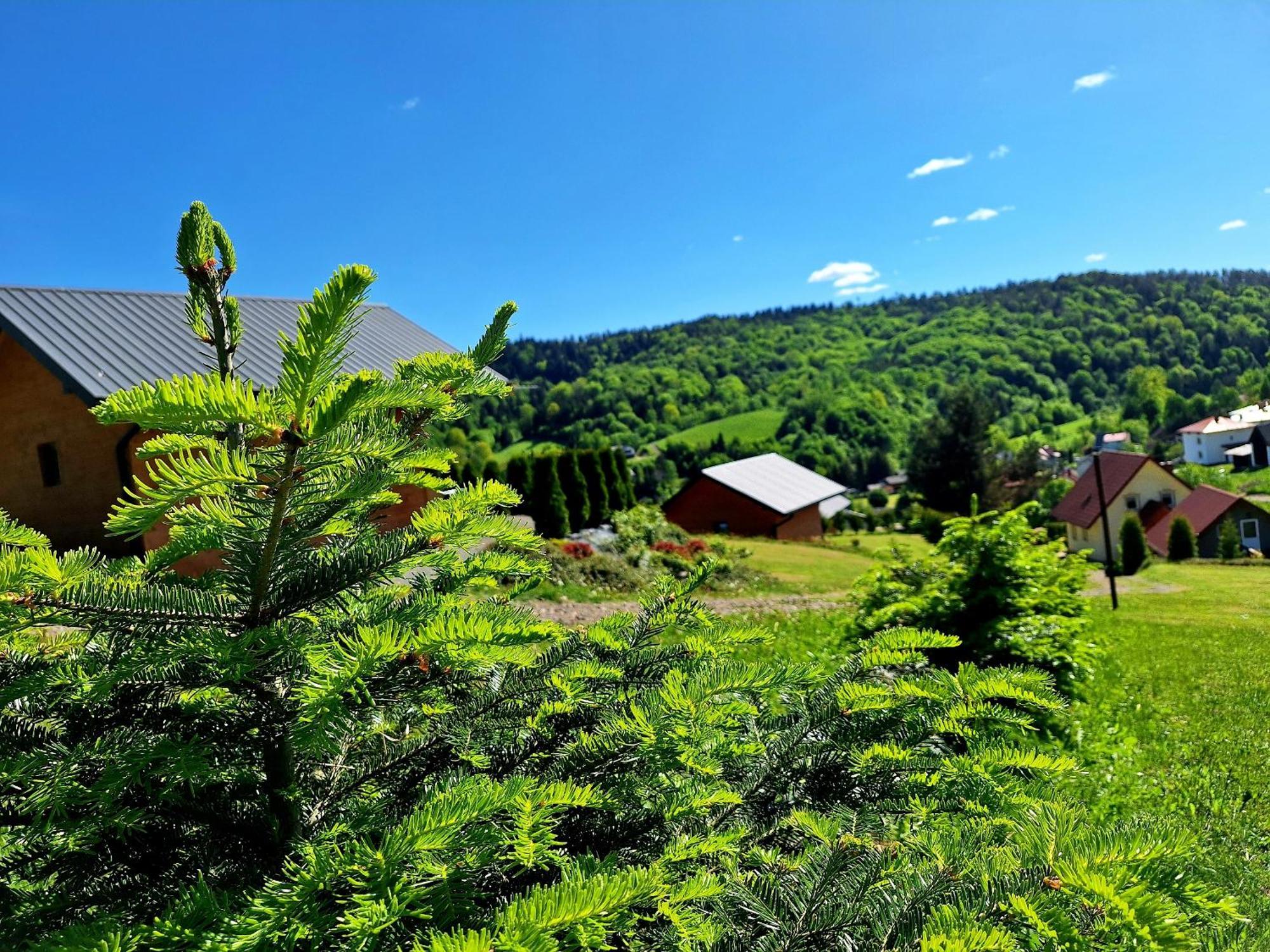 Malinowy Holiday home *
